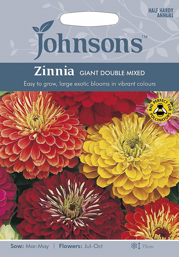 ジニア・ジャイアントダブル