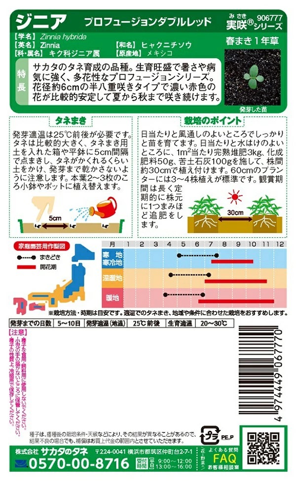 花種子 ジニア プロフュージョン ダブルレッド サカタのタネ 農林水産