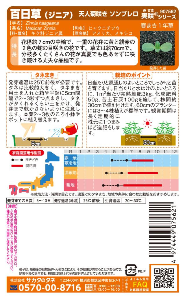 ジニアソンブレロ