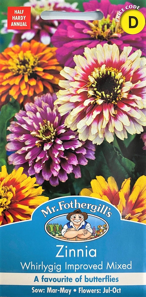 zinnia whirlygig improved mixed