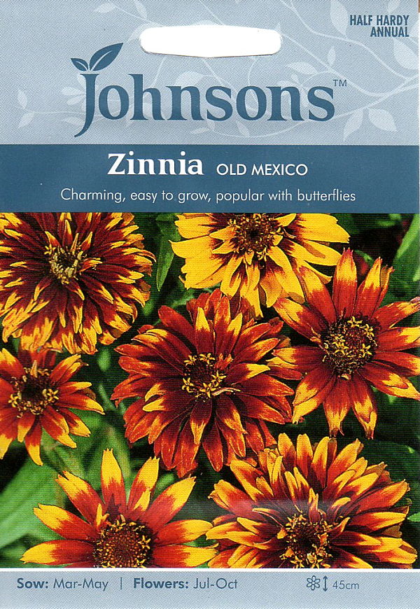 ジニア（百日草）・オールド・メキシコ