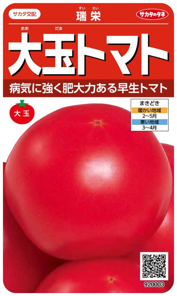 大玉トマト瑞栄