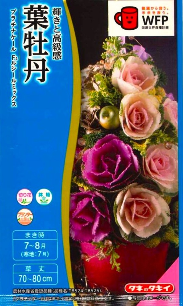 葉牡丹 ルシールミックス