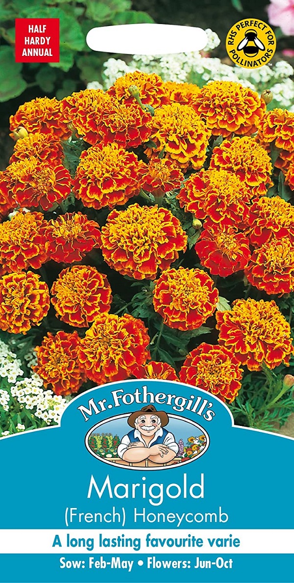 マリーゴールド（フレンチ） ハニカム