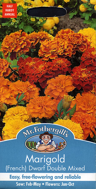 マリーゴールド（フレンチ）・ドワーフ・ダブル