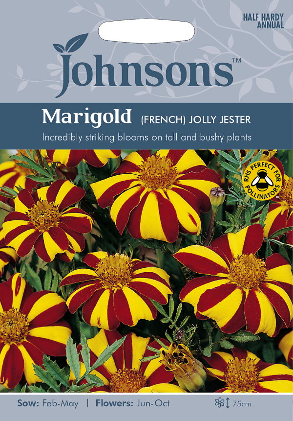 輸入種子】 Johnsons Seeds Marigold (French) Jolly Jester マリー