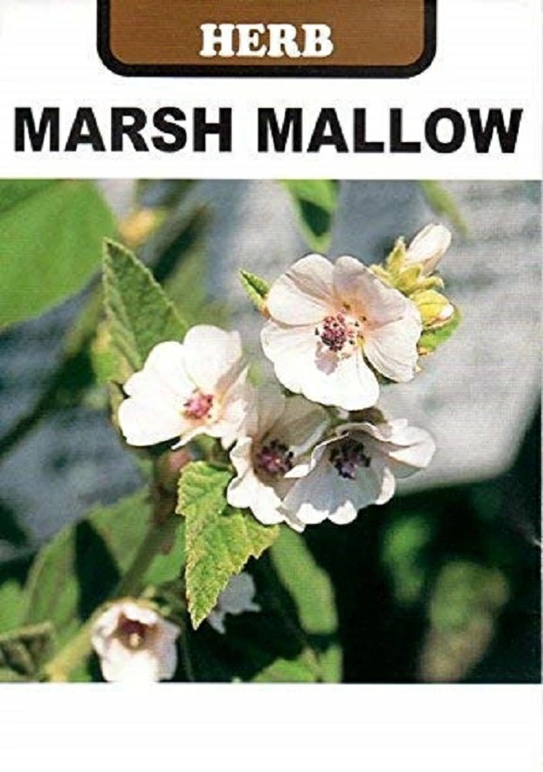 マーシュマロー