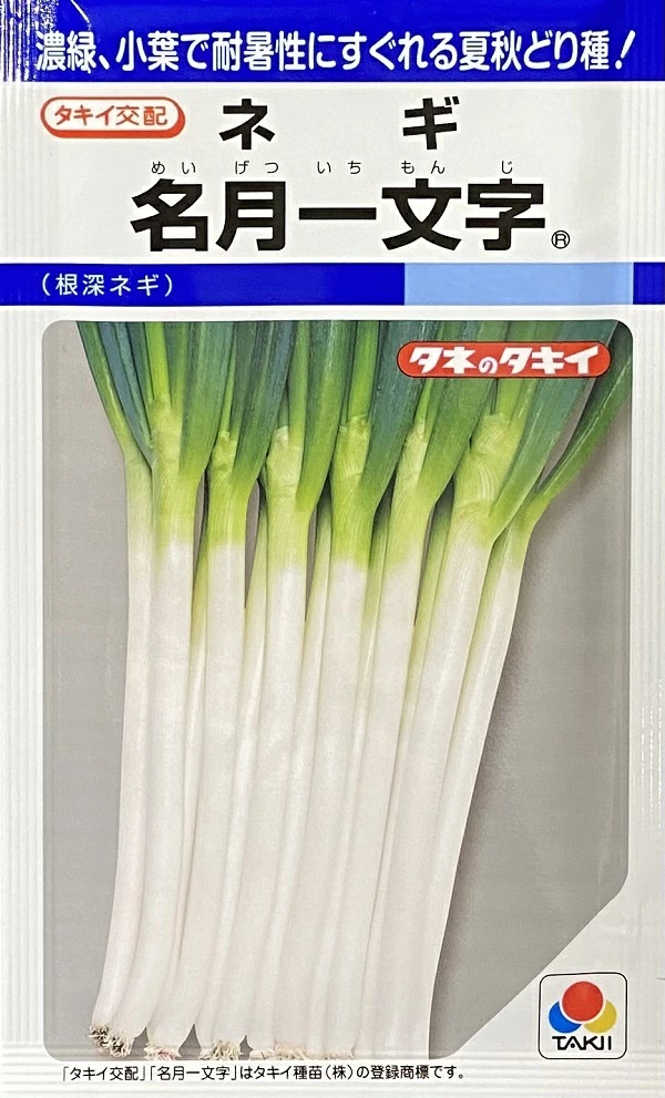 ネギ　名月一文字