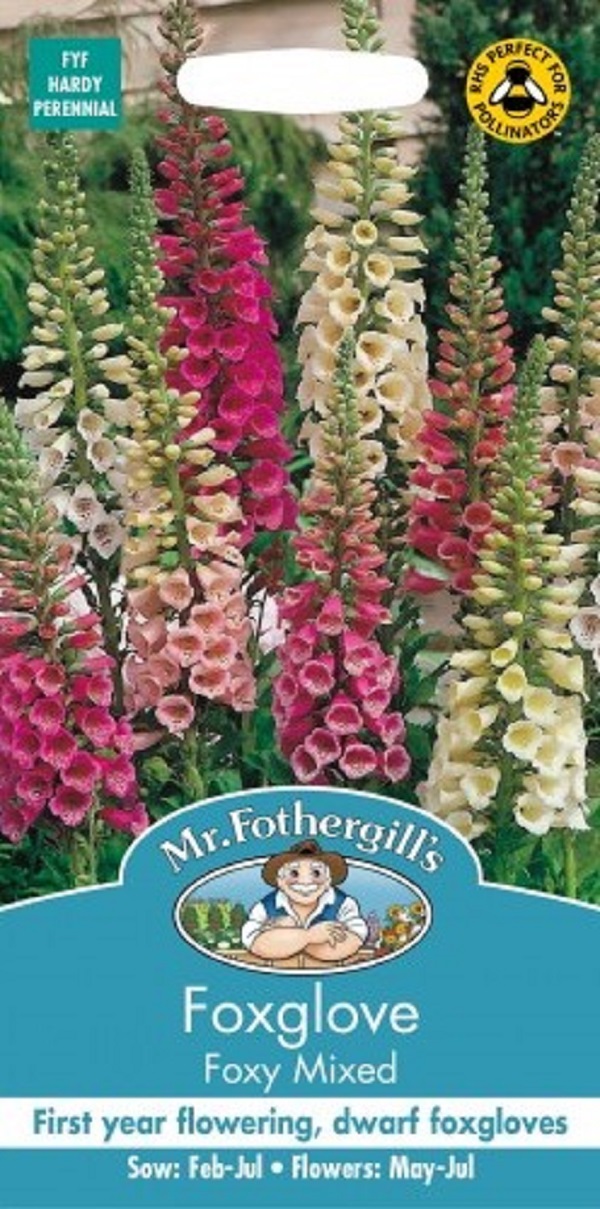 フォックスグローブ（ジギタリス）・フォクシー・ミックス