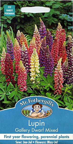 ルーピン（ルピナス）・ギャラリー・ドワーフ・ミックス