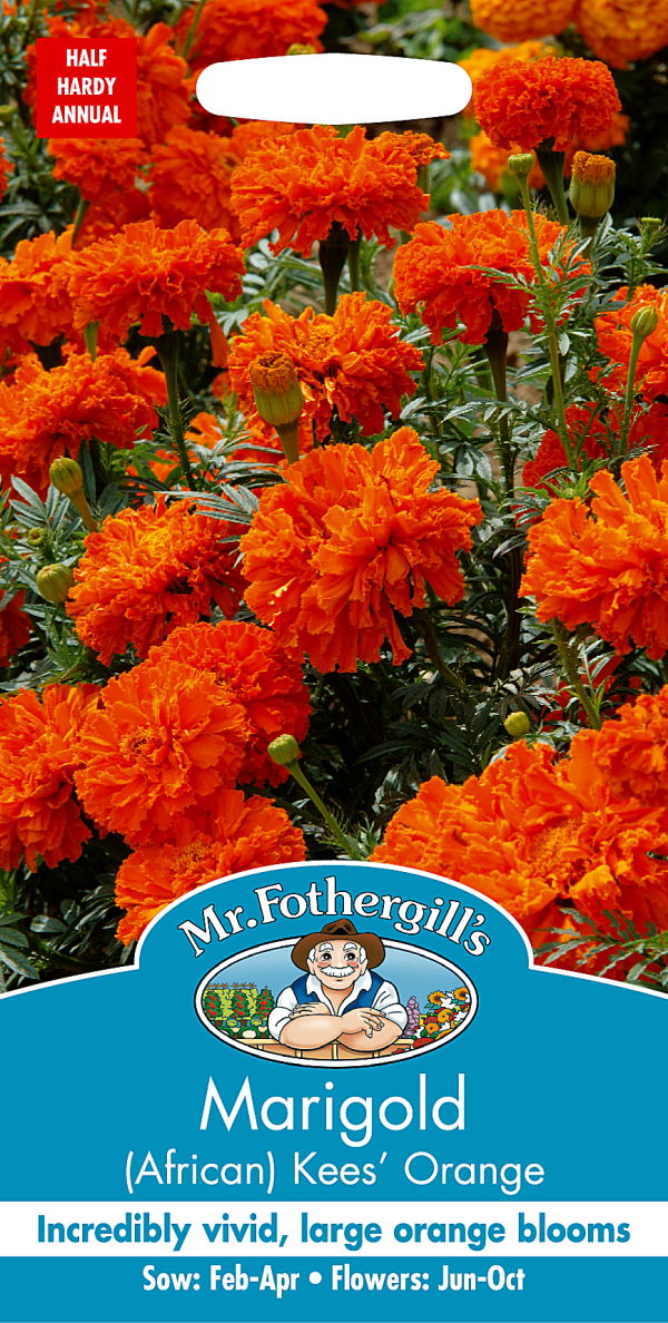 輸入種子】Mr.Fothergill's Seeds Marigold (African) Kees