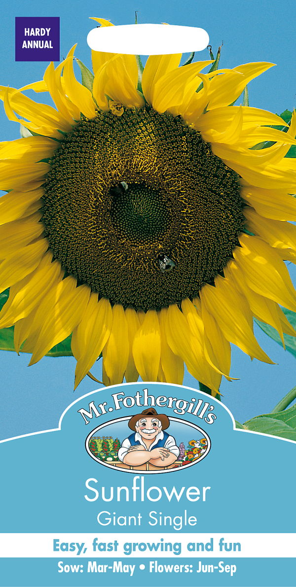 ひまわりページ 輸入種子】 Mr.Fothergill's Seeds Sunflower Giant Single サン