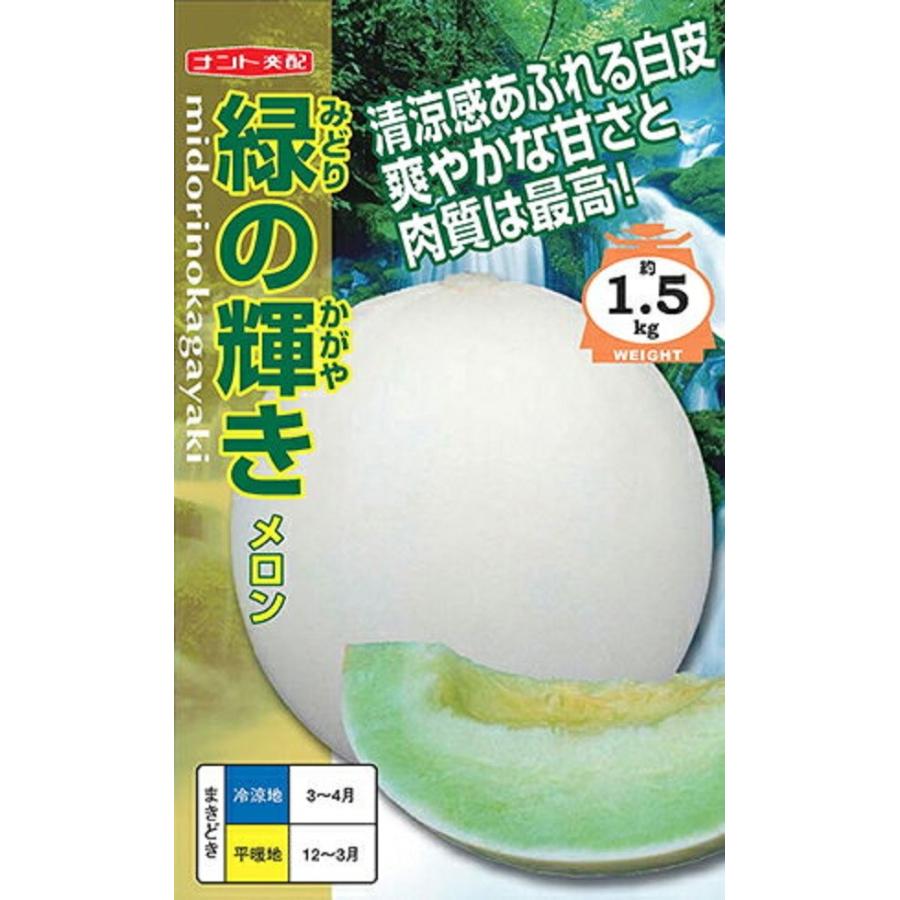 メロン　緑の輝き