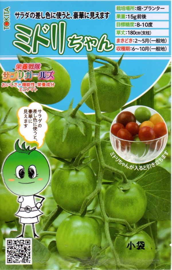 ミニトマト　ミドリちゃん