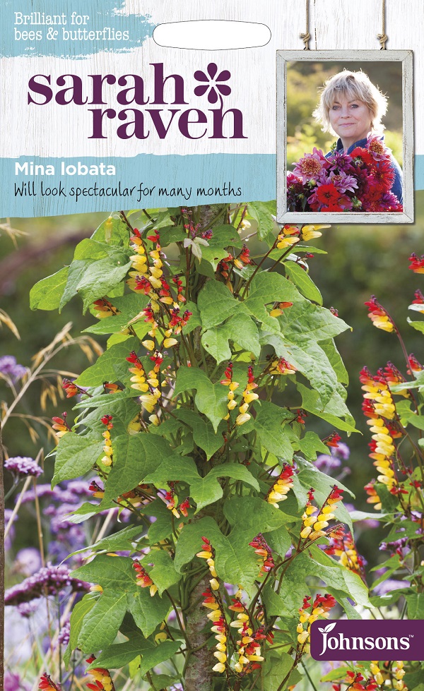 SarahRavenMinaLobata