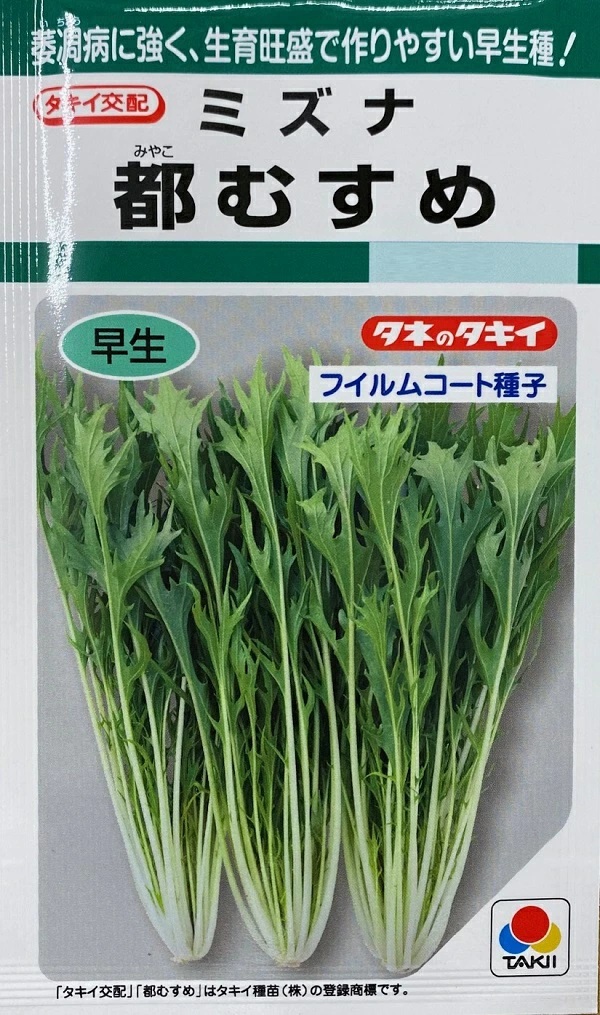 ミズナ　都むすめ