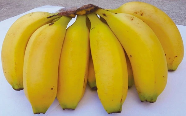 モンキーバナナ