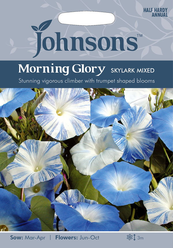 輸入種子】 Johnsons Seeds Morning Glory SKYLARK MIXED モーニング