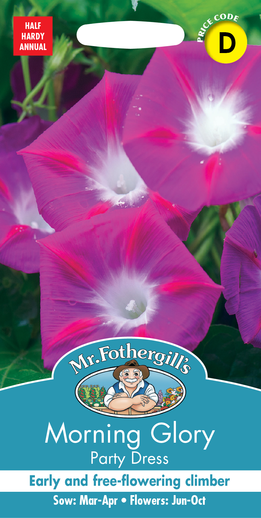 モーニング・グローリー パーティー・ドレス