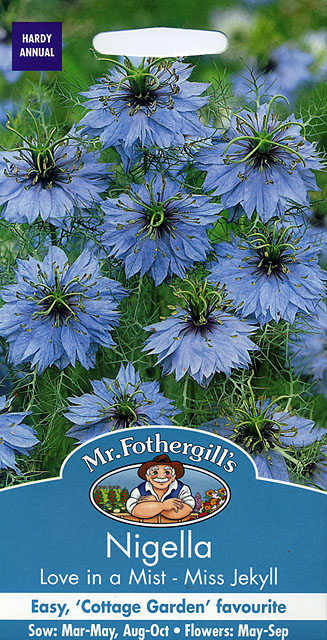 ニゲラ・ミス・ジェケル・ブルー