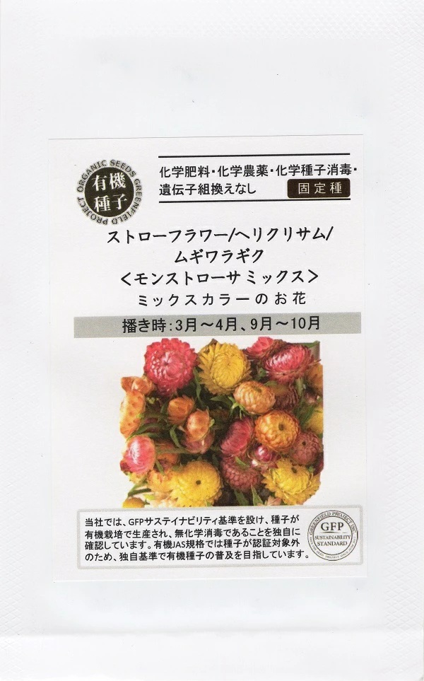 種子】 帝王かいざいく（ヘリクリサム） トーホクのタネ