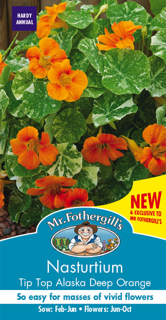 ナスターチウム・チップ・トップ・アラスカ・ディープ・オレンジ