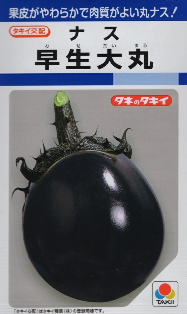 ナス早生大丸