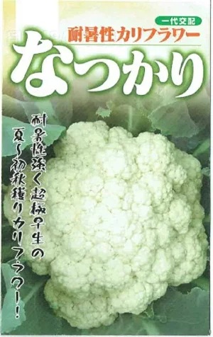 カリフラワー　なつかり