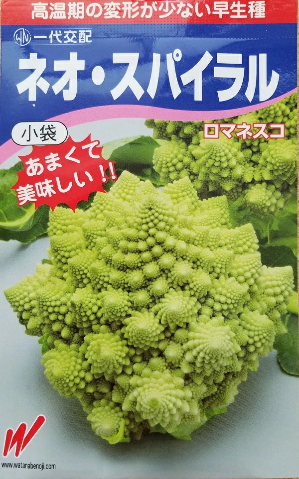 ネオスパイラル ロマネスコ