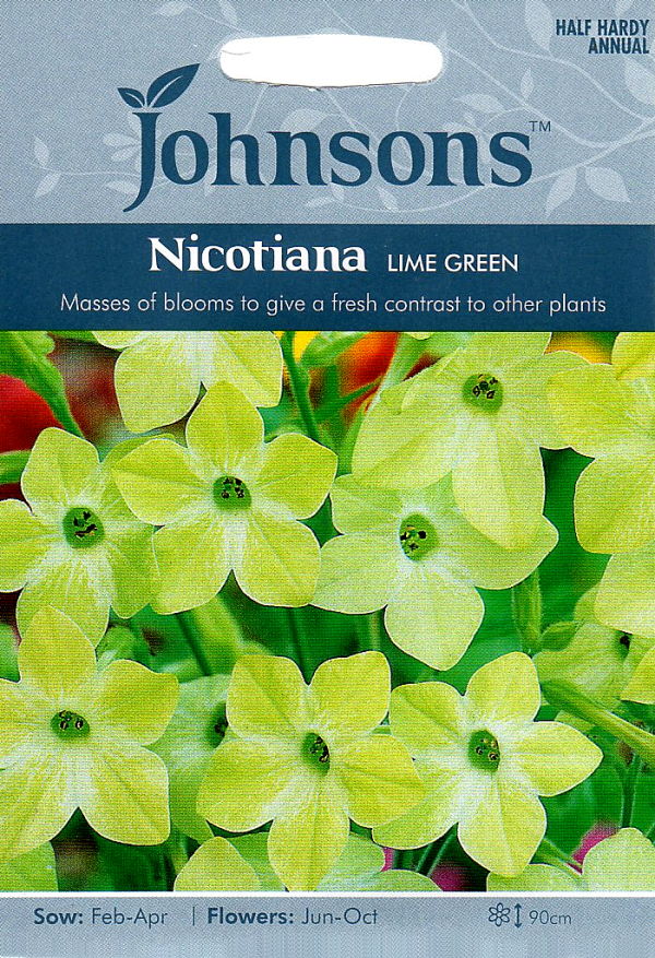 輸入種子 Johnsons Seeds Nicotiana Lime Green ニコチアナ ハナタバコ ライム グリーン ジョンソンズシード