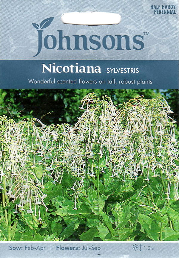 輸入種子 Johnsons Seeds Nicotiana Sylvestris ニコチアナ ハナタバコ シルベストリス ジョンソンズシード
