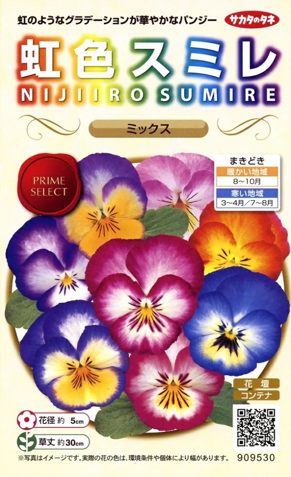 虹色スミレ　ミックス