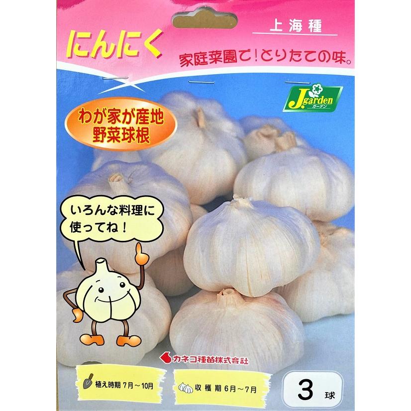 にんにく上海種