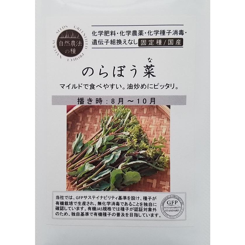 自然農法の種 のらぼう菜 グリーンフィールドプロジェクトのタネ