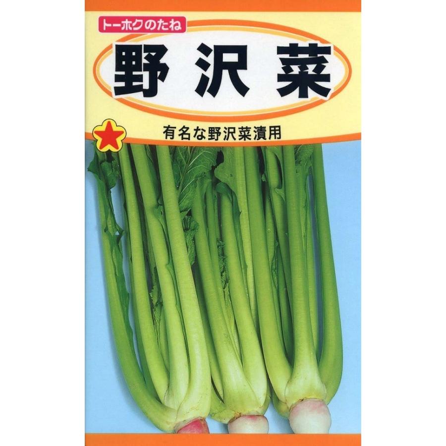 野沢菜　トーホク