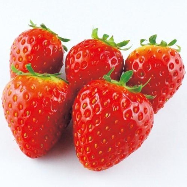 東京おひさまベリー