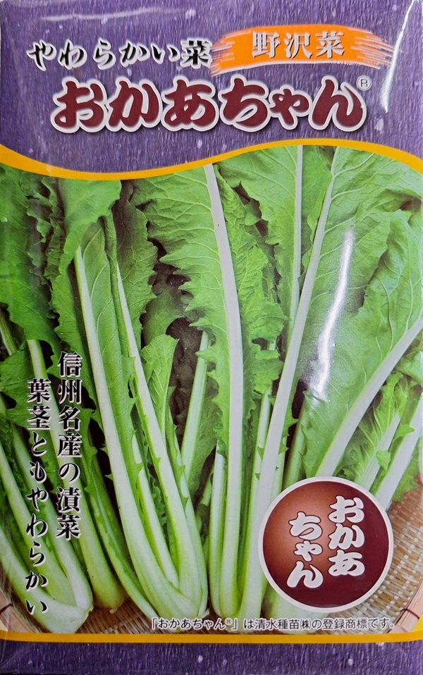 野沢菜　おかあちゃん