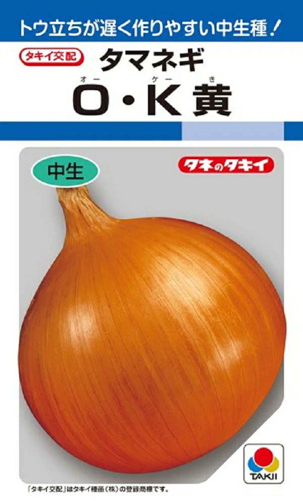 種子】 タマネギ OK黄 タキイ種苗のタネ
