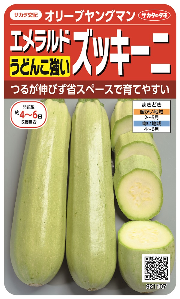 オリーブヤングマン