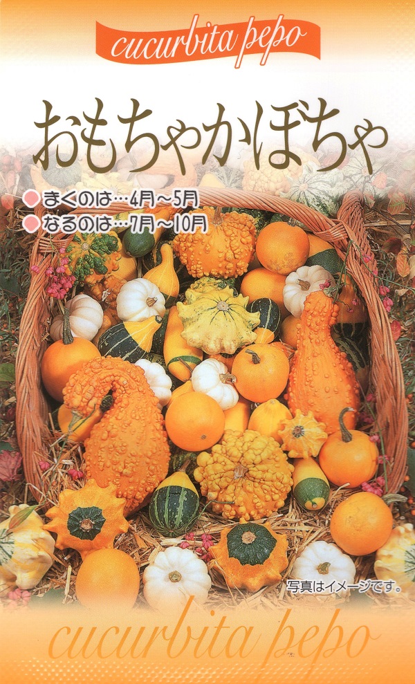 おもちゃかぼちゃ
