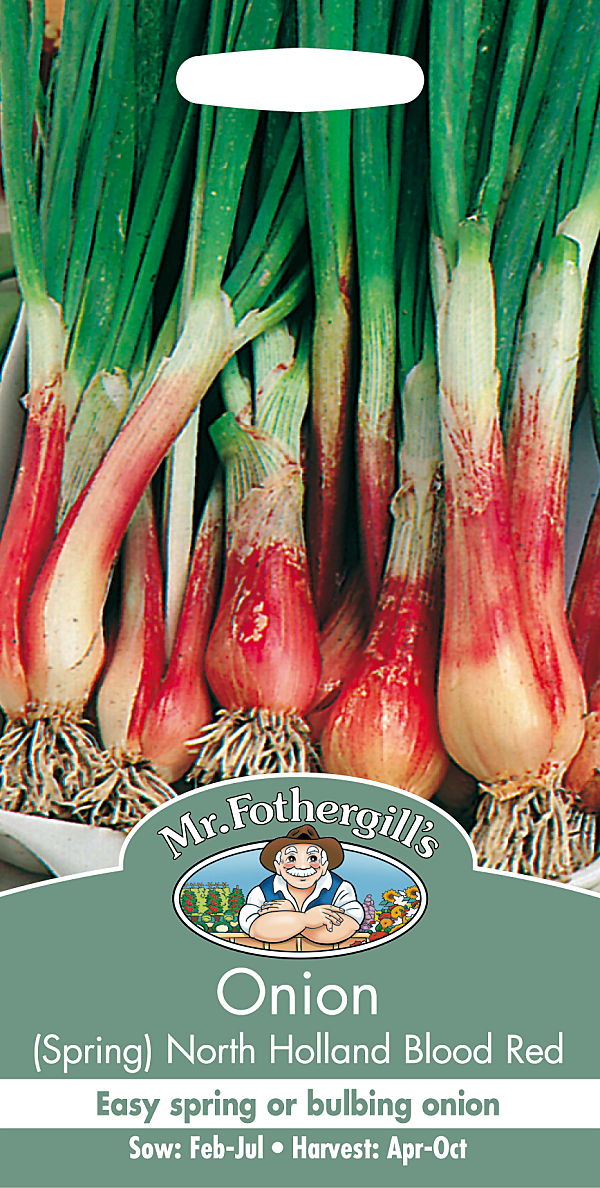 オニオン・スプリング ノース・ホーランド・ブラッド・レッド
