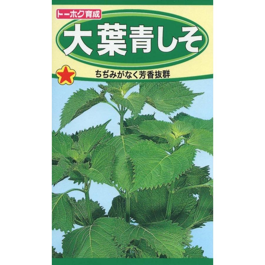 大葉青しそトーホク