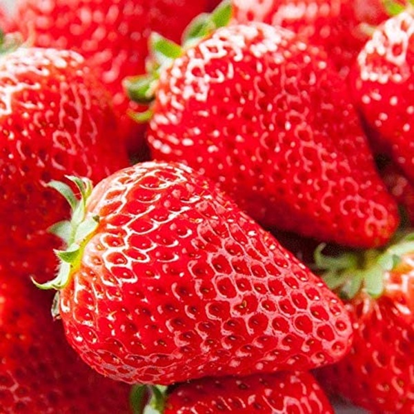 いちご　おおきみ