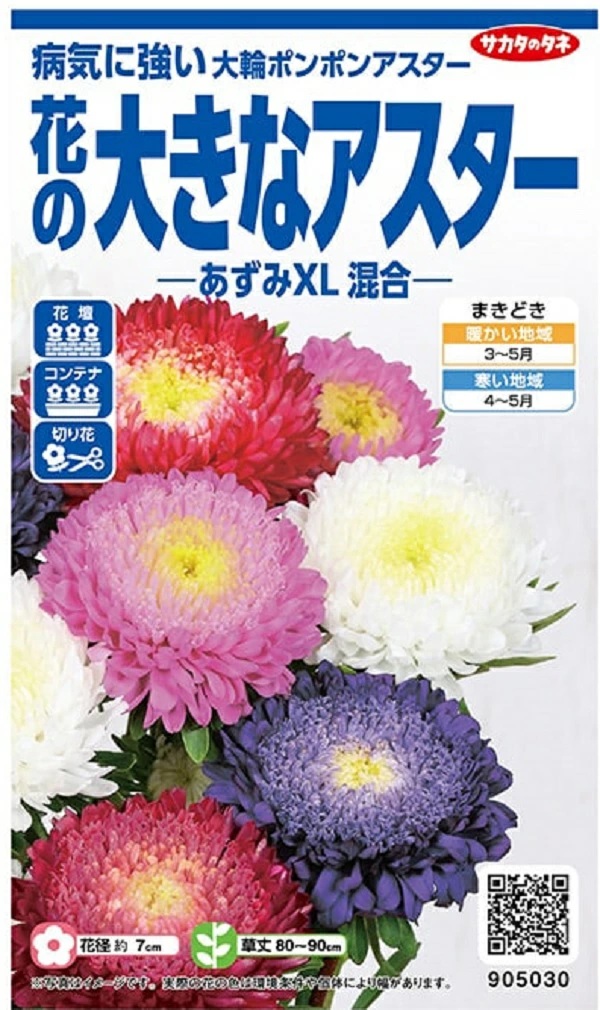 アスター　あずみXL混合