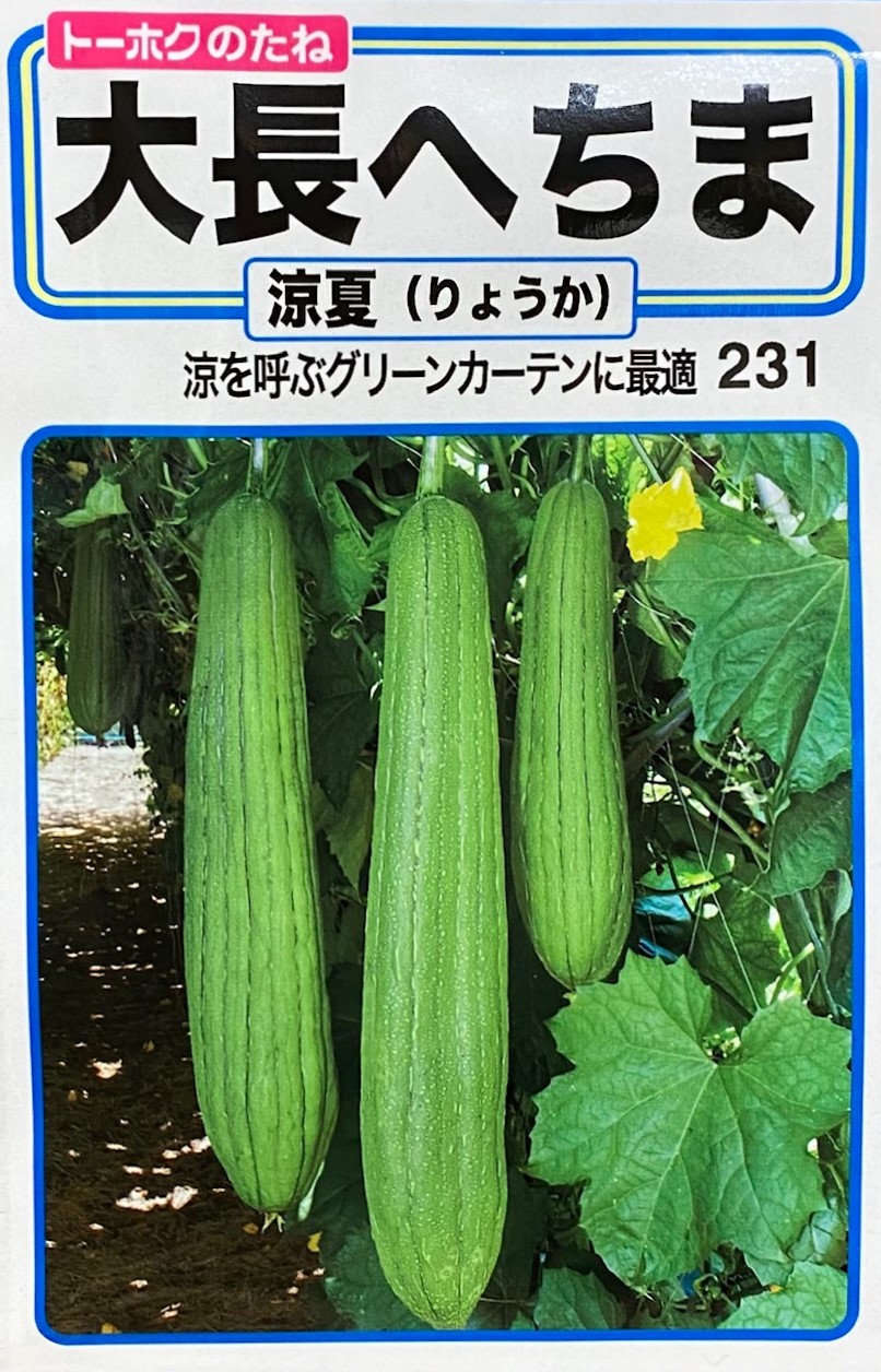 大長へちま 涼夏(りょうか)