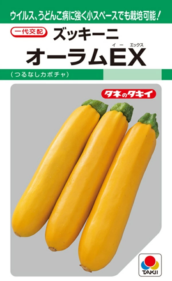 野菜種子 ズッキーニ オーラムEX タキイ種苗のタネ