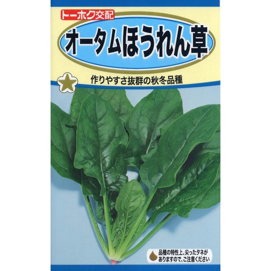 オータムほうれん草