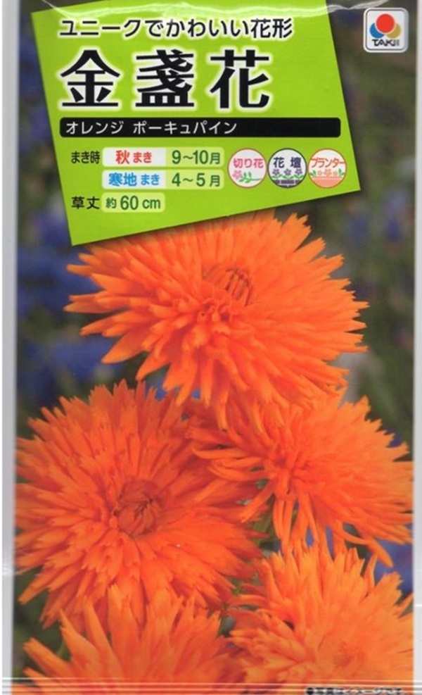 金盞花 オレンジボーキュパイン