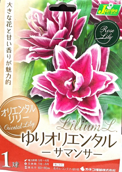 ゆりオリエンタルサマンサ