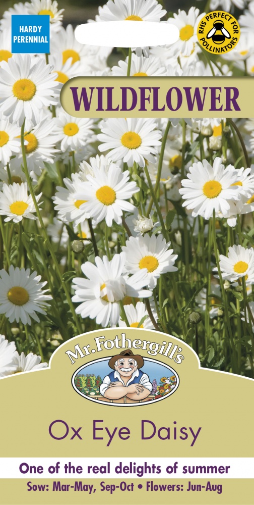 おいも様2点 デイジー 春 輸入種子】 Mr.Fothergill's Seeds WILDFLOWER Ox Eye Daisy